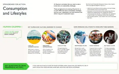 Sustainability Springboards for Action Series: Part 2